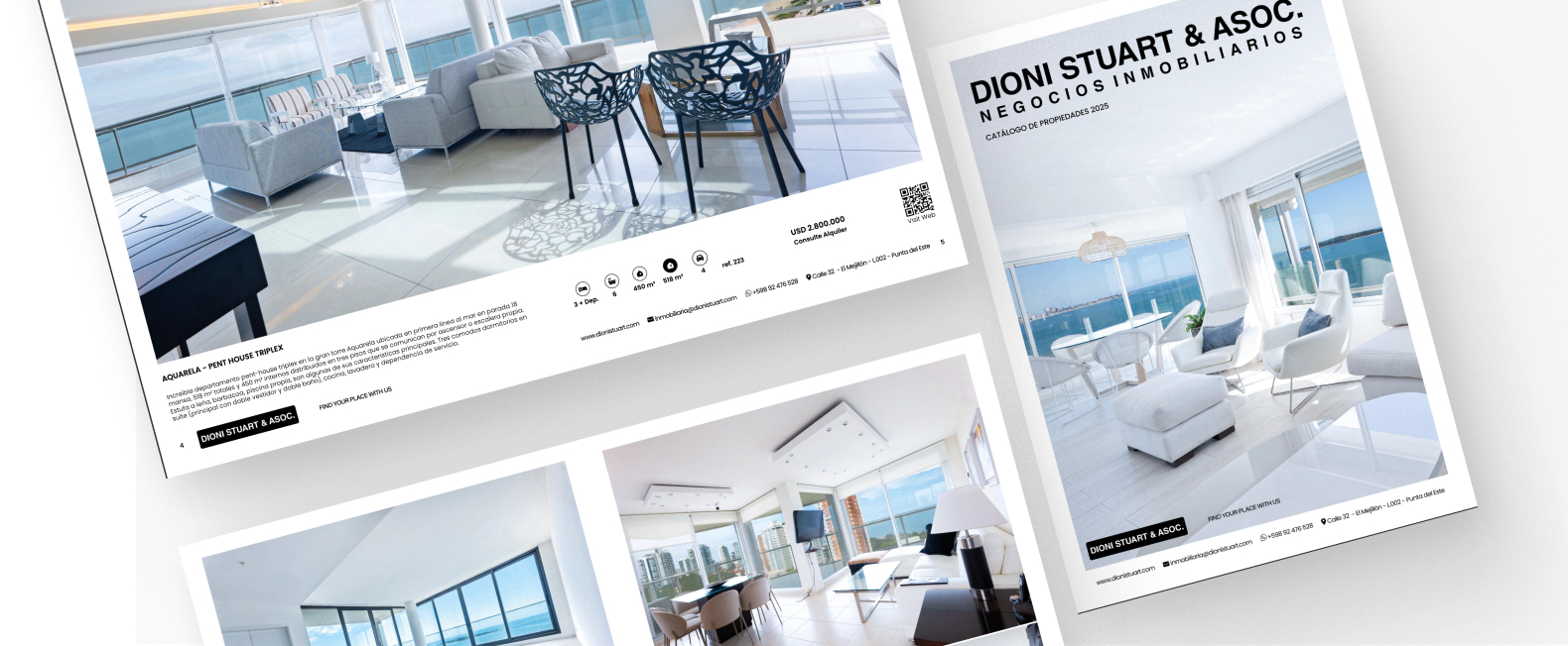 Revista Dioni Stuart & Asoc.