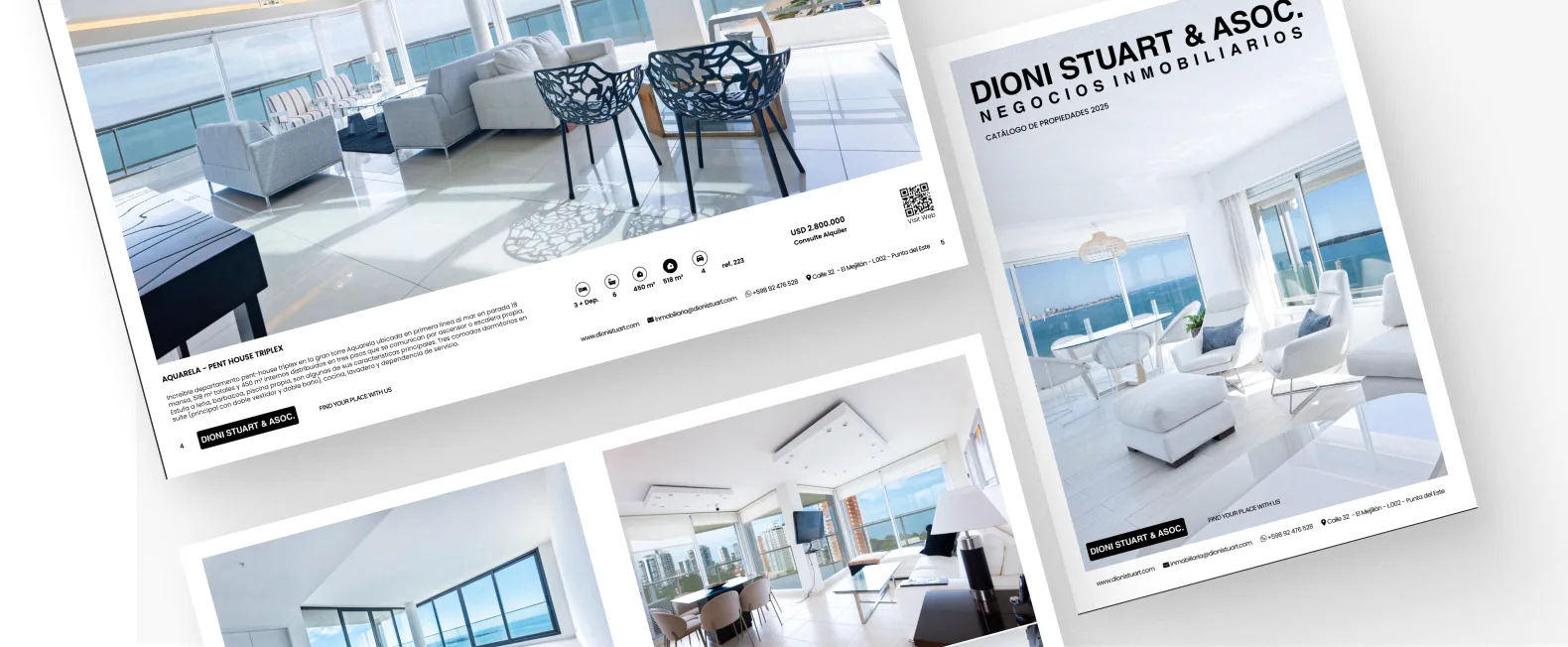 Revista Dioni Stuart & Asoc.