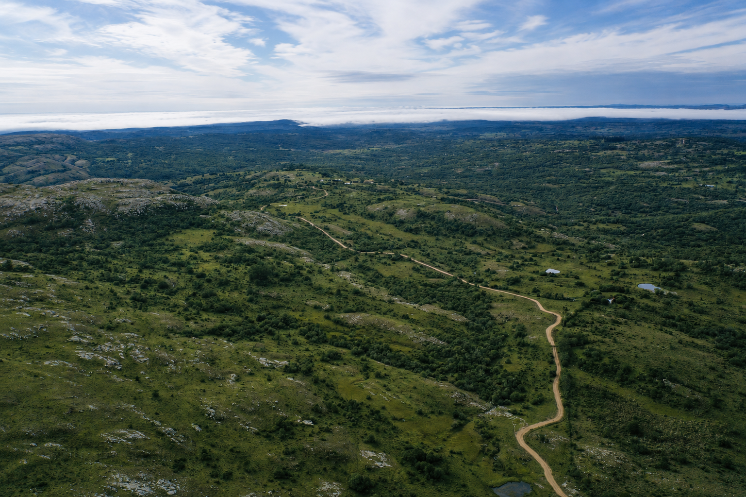 LA COLMENA